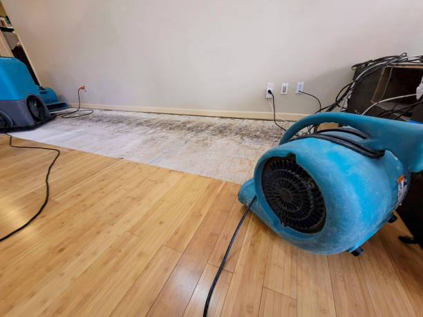 Professional Basement Flood Cleanup technician working in Springerville, AZ